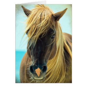 Hübsches Pferd