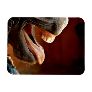 Hübsches Pferd mit Mundöffnung, Zungenstich raus Magnet