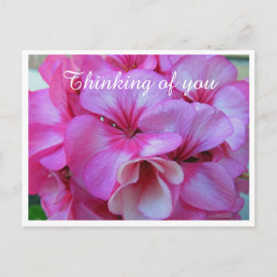 Hübsches Pink Geranium Foto Denken Sie an Sie Postkarte