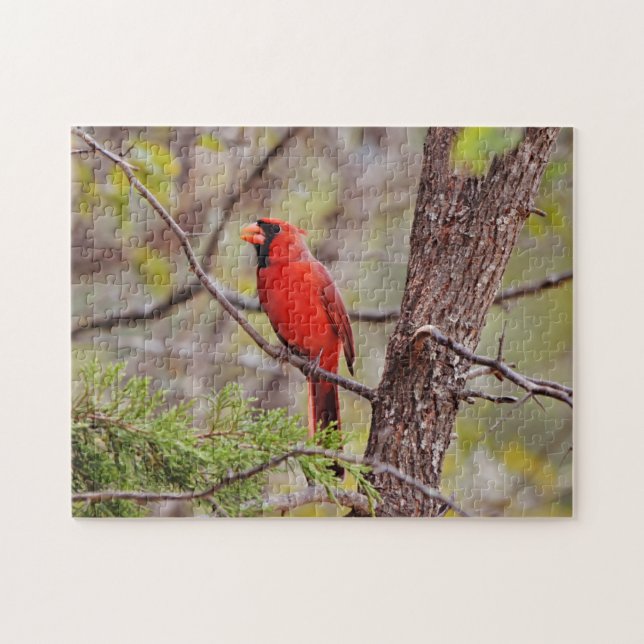 Hübsches Red Kardinal Bird Nature Puzzle (Horizontal)