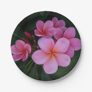 Hübsches rosa Plumerien-Blumenfoto Pappteller