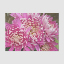 Hübsches rosa Seidenpapier