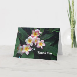 Hübsches Rosa und Gelbe Plumeria Blumenkohl Foto Dankeskarte