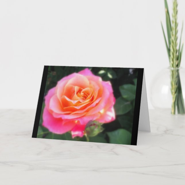 Hübsches Rosa- und Orange-Rose-Macro-Foto Karte (Vorderseite)