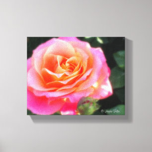 Hübsches Rosa- und Orange-Rose-Macro-Foto Leinwanddruck