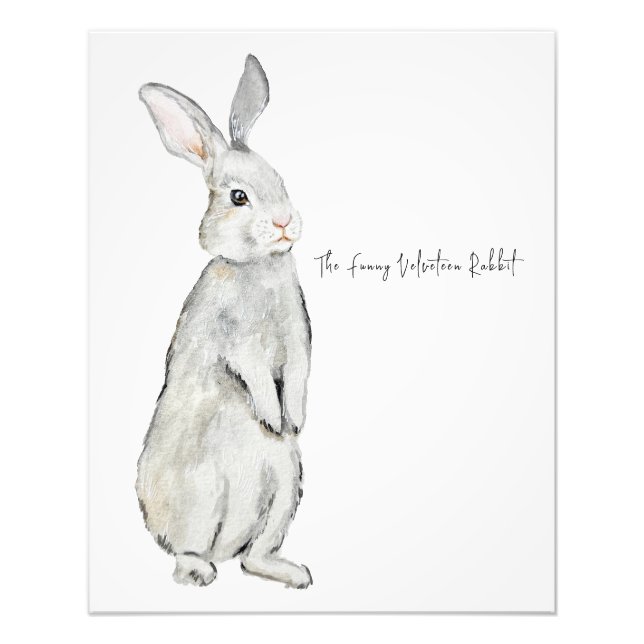 Hübsches Samtkaninchen Fotodruck (Vorne)