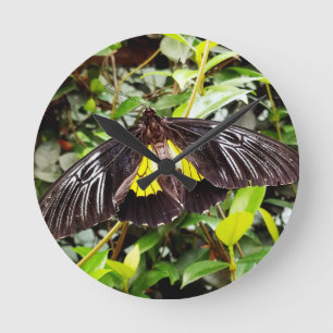 hübsches Schwarz-Gelb-Schmetterling-Foto Runde Wanduhr