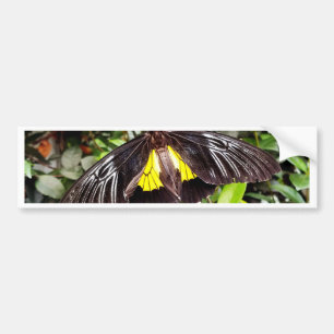 hübsches schwarz gelbes Schmetterlingsfoto Autoaufkleber