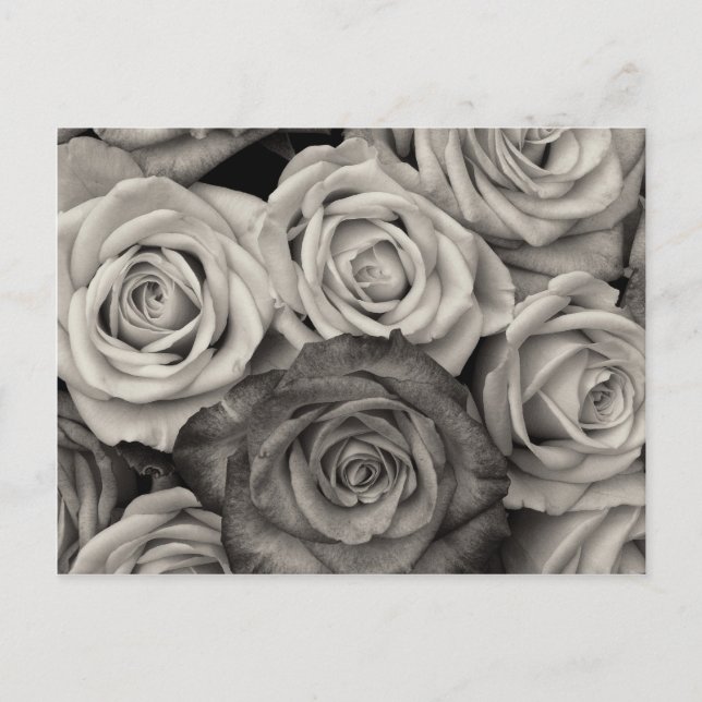 Hübsches Schwarz-Weiß-Rosen-Bouquet mit Blume Postkarte (Vorderseite)