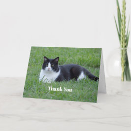 Hübsches Schwarz-Weiß-Tuxedo-Kat-Foto Dankeskarte
