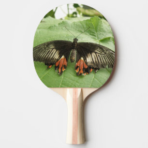 Hübsches Schwarzes Rot und Goldbutterling Pong Tischtennis Schläger
