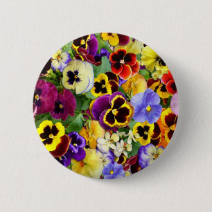 Hübsches Stiefmütterchen Button
