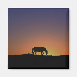 Hübsches Südwestpferd Magnet