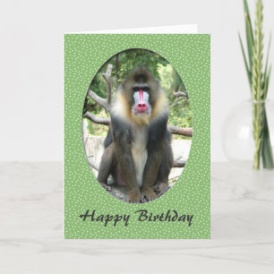 Hübsches Tier Pavian Happy Birthday Karte