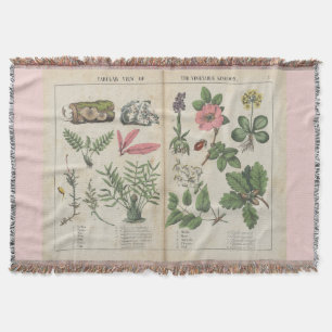 Hübsches Vintages botanisches Kunstgewirr Decke