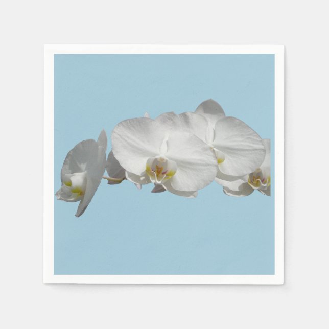 Hübsches weißes Orchid auf hellblau Serviette (Vorderseite)