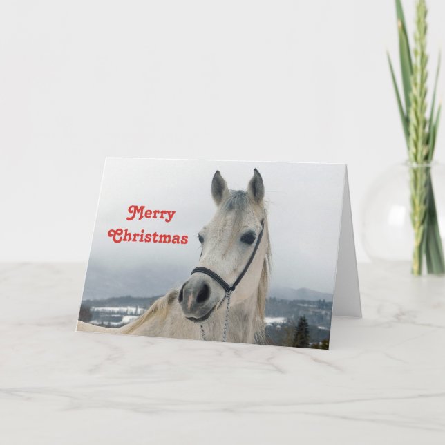 Hübsches Weißes Pferd Foto Weihnachten (Vorderseite)