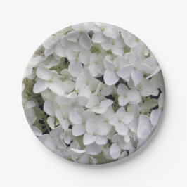 Hübsches White Hydrangea Closeup-Foto Pappteller
