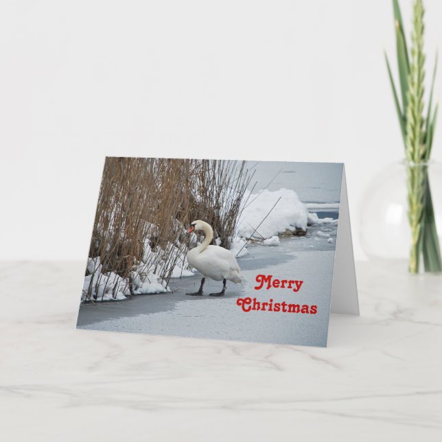 Hübsches White Swan Snow Foto Weihnachten (Vorderseite)