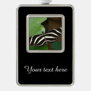 Hübsches Zebra Langschwinger Schmetterling Custom  Rahmen-Ornament Silber