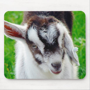 Hübsches Ziegenkid Mousepad