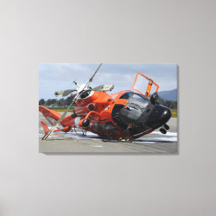 Hubschrauber des Delphins MH-65 zerschmettert bei Leinwanddruck