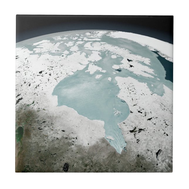 Hudson Bay Sea Ice am 29. April 2006. Fliese (Vorderseite)