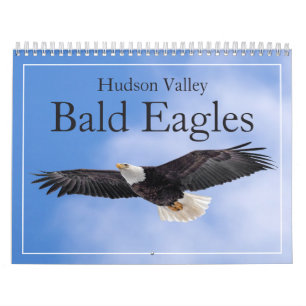 Hudson Valley Bald Eagles Calendar Kalender