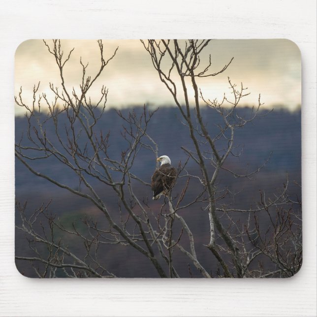 Hudson Valley Eagle Mousepad (Vorne)