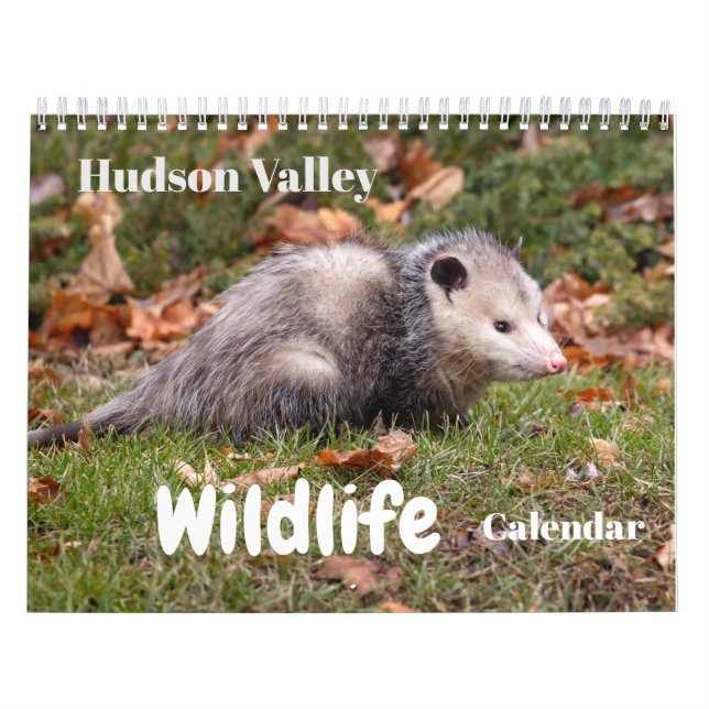 Hudson Valley Wildlife Calendar Kalender (Titelbild)