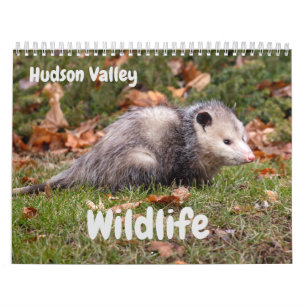 Hudson Valley Wildlife Kalender