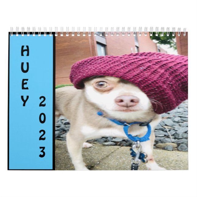 Huey 2023 Wall Calendar Kalender (Titelbild)