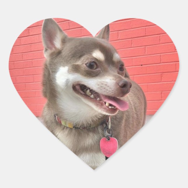 Huey A mes Stickers Coeur ! (Devant)