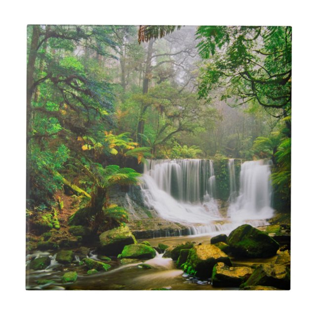 Hufeisen-Fälle umgeben durch Regenwald Fliese (Vorderseite)