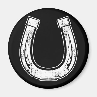 Hufeisen Magnet