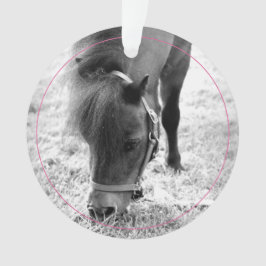 Hufeisen Pink Pet Pferdeame Foto Keepake Ornament