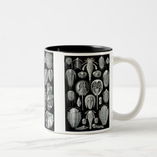 Hufeisenkrabben, Trilobiten & Schnecken Zweifarbige Tasse
