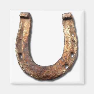 Hufeisenmagnet Magnet