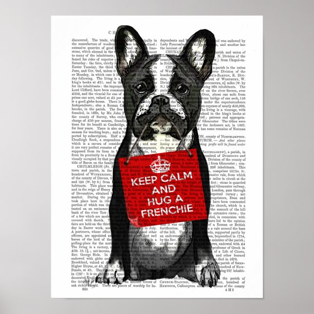 Hug a Frenchie Poster (Vorne)