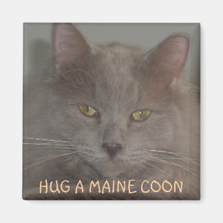 HUG A MAINE COIN MAGNET