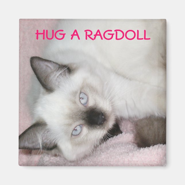 HUG A RAGDOLL MAGNET (Vorne)