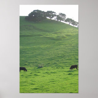 Hügel auf 227 poster