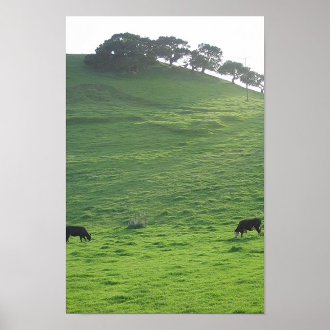 Hügel auf 227 poster (Vorne)