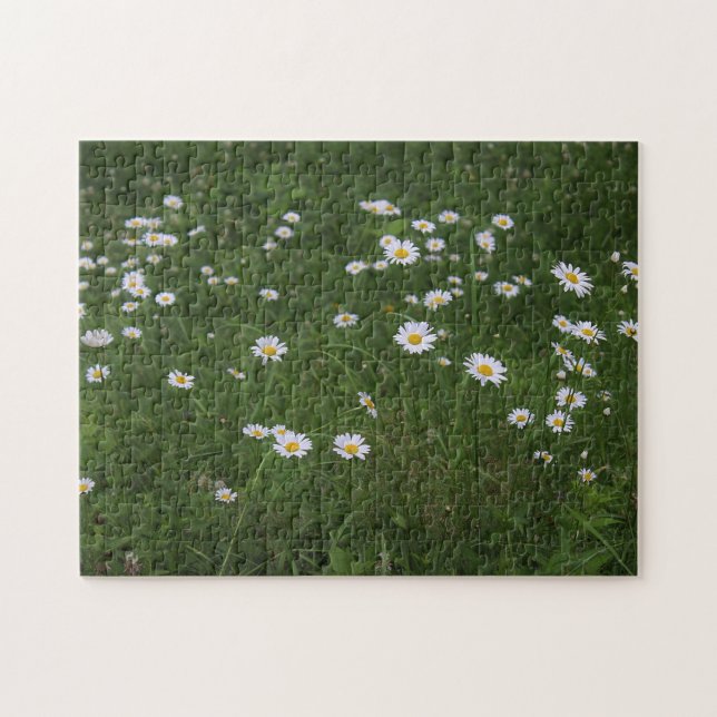 Hügel der Gänseblümchen (Horizontal)