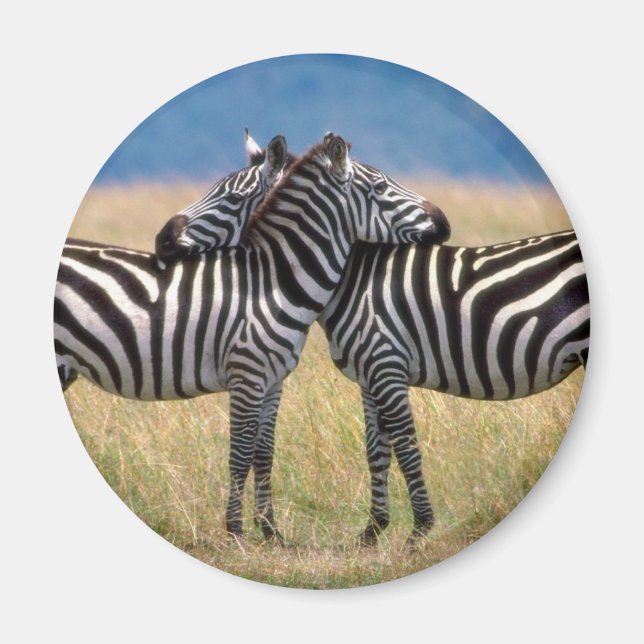 Hugging Zebras Magnet (Vorne)