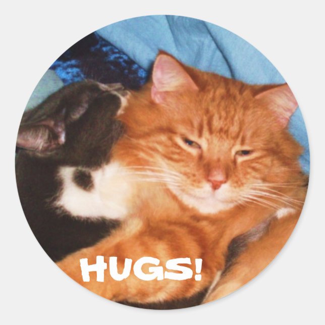 HUGS-Aufkleber Runder Aufkleber (Vorderseite)