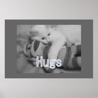 Hugs kitty Poster