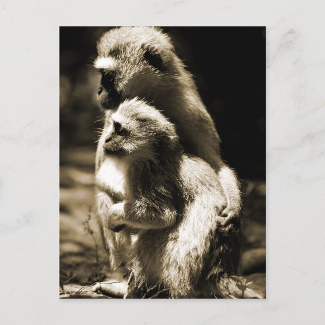 Hugs Postkarte (Vorderseite)