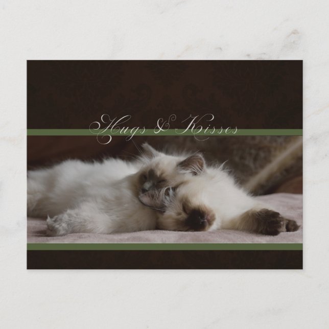 Hugs und Küsse Postkarte (Vorderseite)