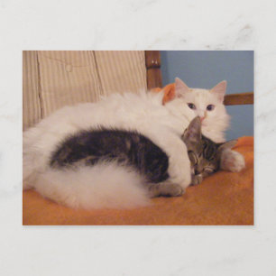 HugZ-Postkarte Postkarte